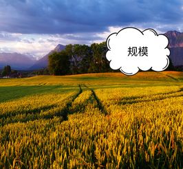 科技賦能農(nóng)業(yè)，智慧引領電商——為農(nóng)產(chǎn)品電商領域中的農(nóng)業(yè)技術研究者點贊