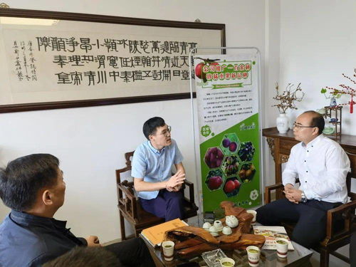 招商征途與農業(yè)創(chuàng)新 位副縣長、鄉(xiāng)黨委書記周偉的城鄉(xiāng)發(fā)展蹲點筆記