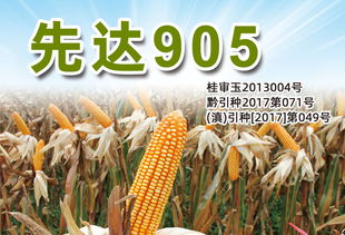 產品 三北種業(yè) sanbeiseed 種子,玉米種子,種業(yè)公司,高產栽培,農業(yè)技術