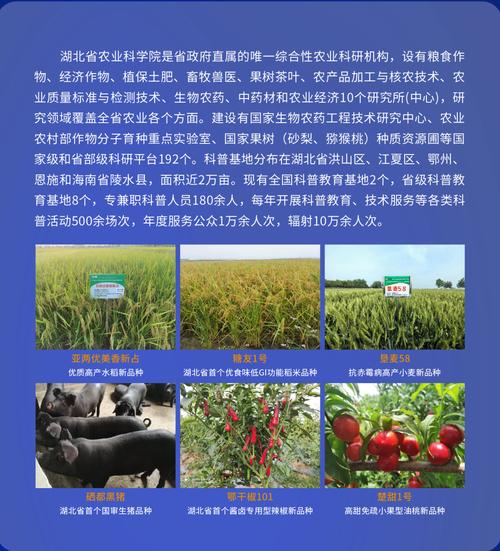 量子科技賦能荊楚沃土 武漢量子技術研究院的農業(yè)新探索